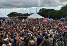Blocos de pré-carnaval dão o tom da folia na capital federal